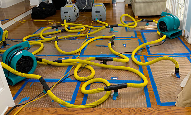 Professional Structural Drying And Dehumidification technician working in Sandusky, MI